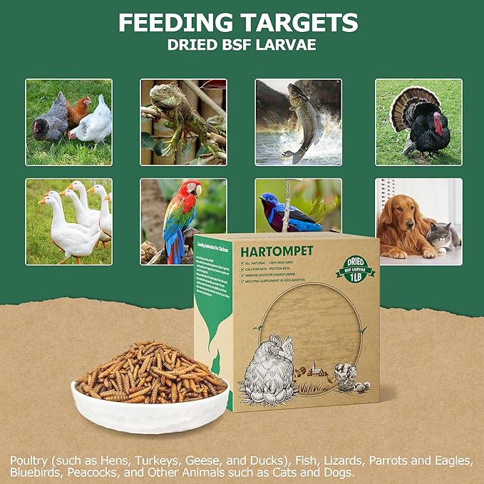 1LB Non-GMO Dried Black Soldier Fly Larvae, Superior Calcium Boost for Chickens, Better Than Dried Mealworms, Poultry Feed Ideal for Molting & Laying Hens, Wild Birds, Ducks | Top Grade BSF