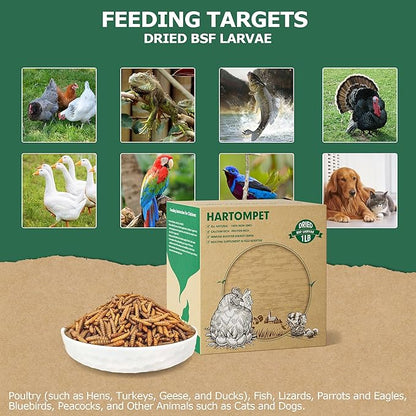 1LB Non-GMO Dried Black Soldier Fly Larvae, Superior Calcium Boost for Chickens, Better Than Dried Mealworms, Poultry Feed Ideal for Molting & Laying Hens, Wild Birds, Ducks | Top Grade BSF