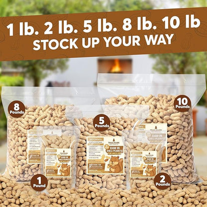 1 LB - Raw Peanuts For Squirrels, Raw In Shell Peanuts For Birds and Wildlife- Squirrel Food, Wild Bird Seed - Grown in The USA