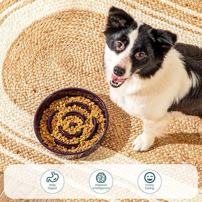 vancasso Slow Feeder Dog Bowl, 3 Cups Ceramic Slow Feeder for Large Breed, Puzzle Maze Dog Food Bowl for Fast Eater, Dark Purple