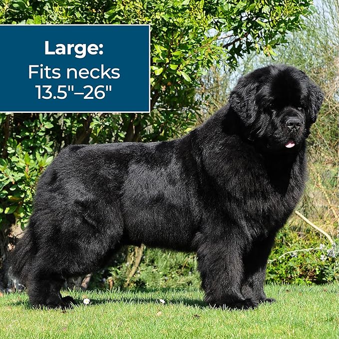 Wondercide Dog Collar - Flea, Tick, and Mosquito Repellent for Dogs - with Natural Essential Oils - Up to 4 Months Protection - Large