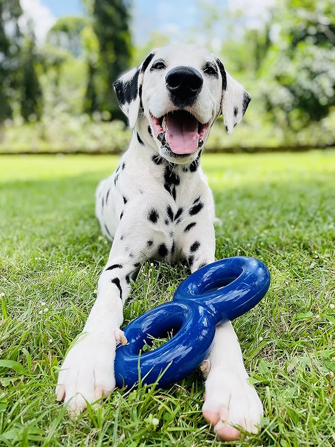 SuperChewy Tough Dog Double Ring Toy | Lifetime Replacement | Strong Natural Rubber | Great Dog Pull Toy for Exercise | Tug Toys for Dogs | Ultra Durable Chew Toys for Aggressive Chewers