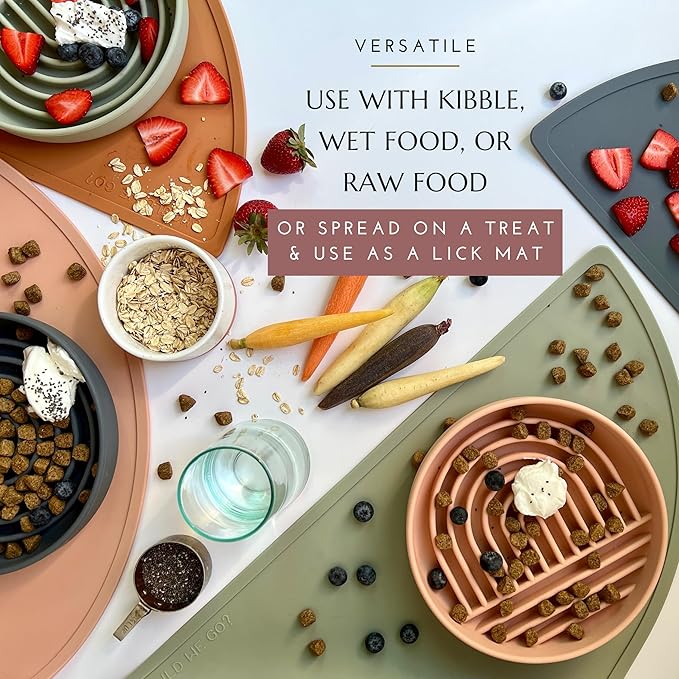 The Slowdown Bowl Silicone Slow Feeder for Dogs & Puppies, Slow Eating, Modern Lick Mat Design, Reduces Gulping, Fits 2 Cups 7.5” Across x 1.5” Tall, Mealtime Challenge, Medium-Spruce