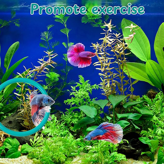 2 pcs Betta Ring Enrichment Toys with 1 pcs Betta Mirror, Exercise Training Ring and Floating Mirror for Fish Tank, Aquarium Feeding Rings with Floating Mirrors, Fish Toys, Bettas Toy (Teal, M-70mm)