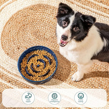vancasso Slow Feeder Dog Bowl, 3 Cups Ceramic Slow Feeder for Large Breed, Puzzle Maze Dog Food Bowl for Fast Eater, Blue