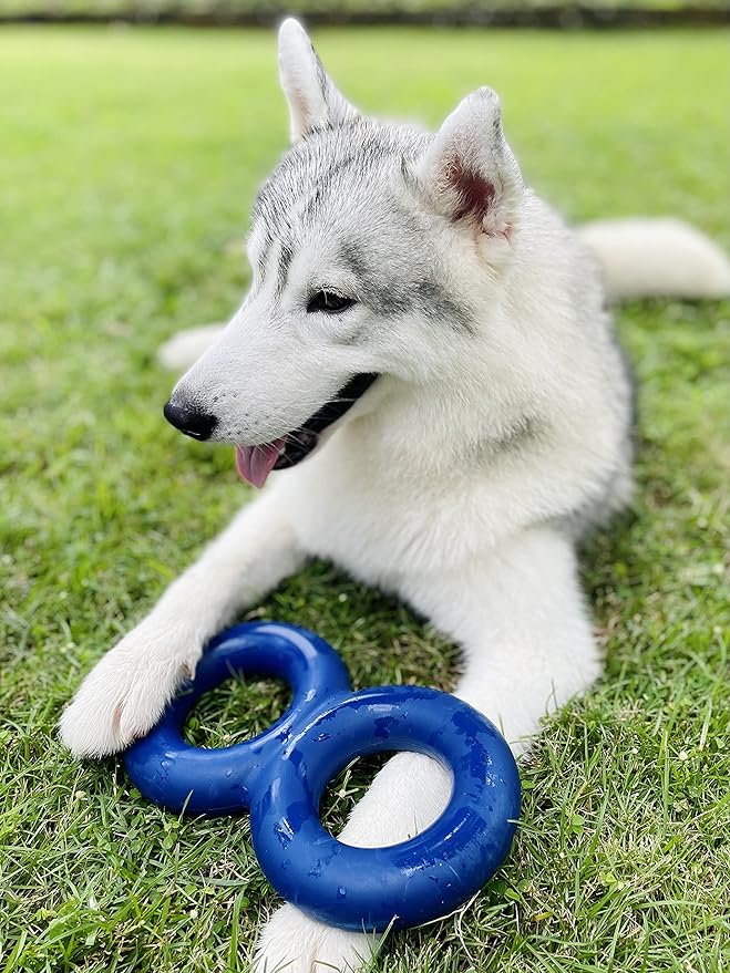 SuperChewy Tough Dog Double Ring Toy | Lifetime Replacement | Strong Natural Rubber | Great Dog Pull Toy for Exercise | Tug Toys for Dogs | Ultra Durable Chew Toys for Aggressive Chewers