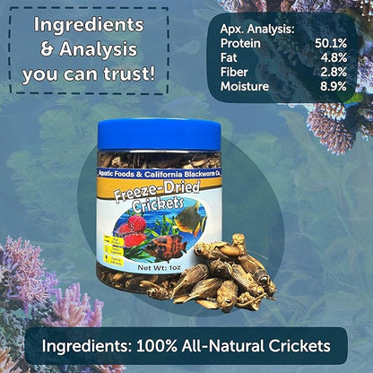 Aquatic Foods Inc. Crickets, Freeze Dried Crickets for Large Tropical Fish, Monster Fish, Reptiles, Turtles, Tortoises, Frogs, Hamsters, Birds, Rodents 6oz Canister
