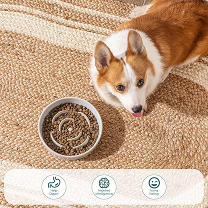 vancasso Slow Feeder Dog Bowl, 1.5 Cups Ceramic Slow Feeder for Medium Breed, Puzzle Maze Dog Food Bowl for Fast Eater, Light Gray