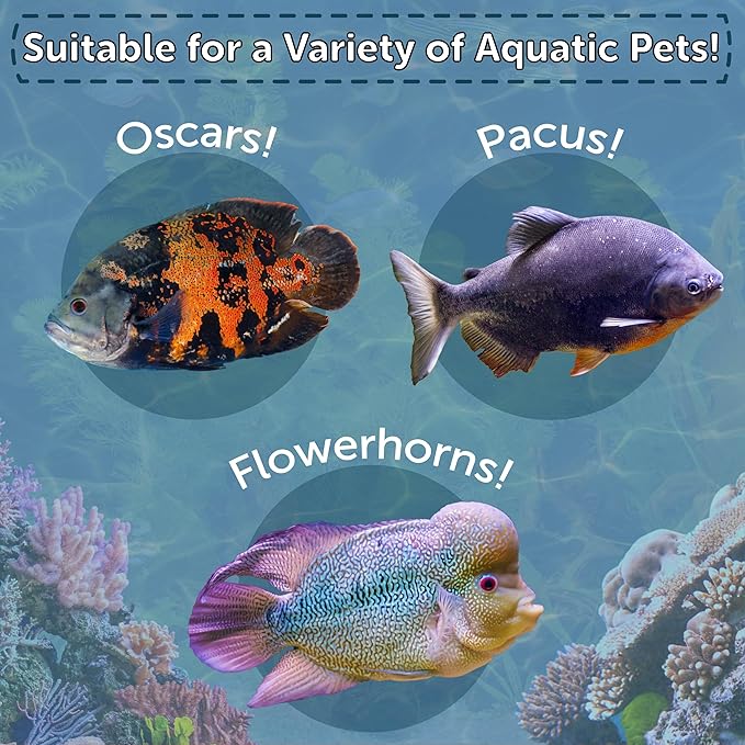 Aquatic Foods Inc. Crickets, Freeze Dried Crickets for Large Tropical Fish, Monster Fish, Reptiles, Turtles, Tortoises, Frogs, Hamsters, Birds, Rodents 6oz Canister