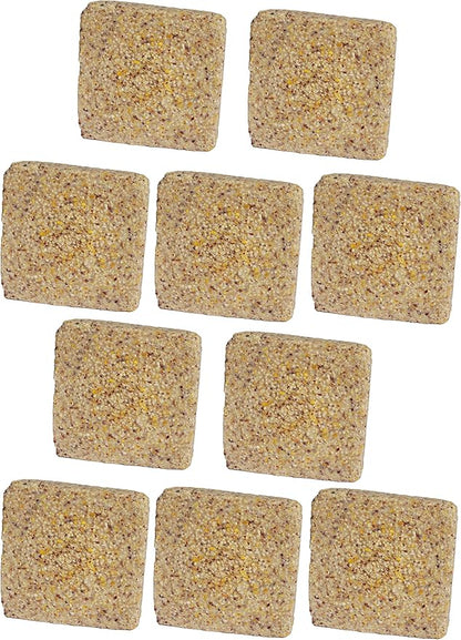 Suet Cake Variety Packs | 11 oz. Wild Bird Suet Cakes | (Peanut, 10 Pack)