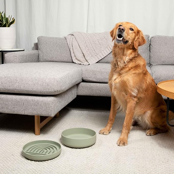 The Perfect Dish No-Spill Dog Water Bowl, Less Mess Non-Tippable Water & Food Bowl, Pure Silicone with Suction Cup, Fits 8 Cups 9.5" Across x 2.5" Tall Ideal for All Pets, Large-Sage