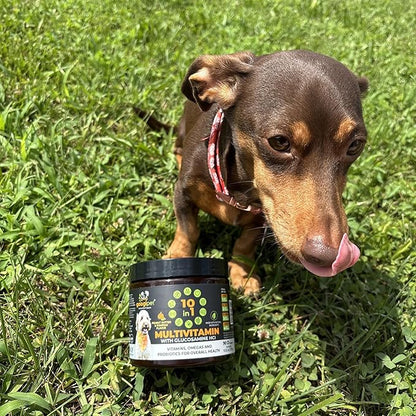 Googipet Premium 10 in 1 Dog Vitamins Multivitamin Chewable with Probiotics for Gut Health, Dog Vitamins and Supplements w/Vitamin C & Glucosamine for Joint Support (Chicken & Vegetable Flavor)