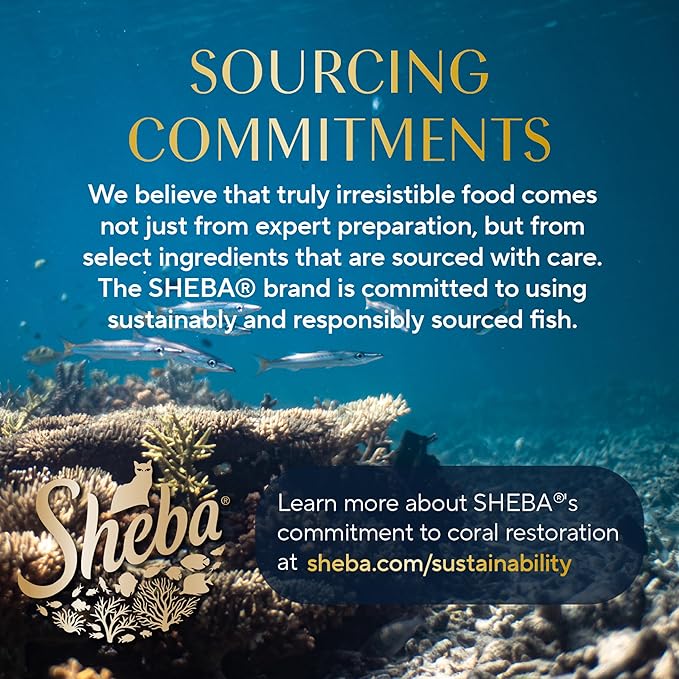 Sheba Gravy Indulgence Adult Wet Cat Food Salmon Entree in Extra Gravy, 2.6 oz. Twin-Pack Trays (24 Count, 48 Servings)