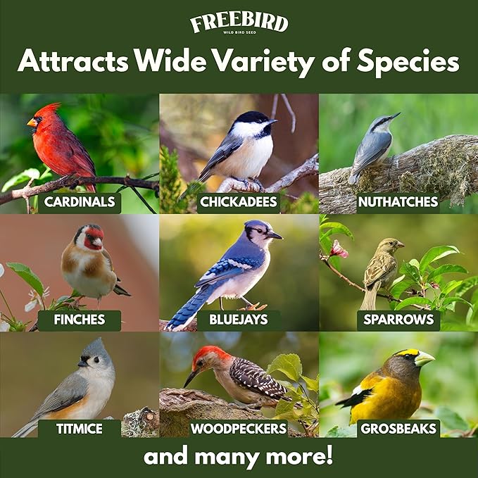 Wild Bird Seed for Outside Feeders by Freebird - Premium Songbird Blend with Sunflower, Safflower, Peanut Pieces, Red Millet and White Millet for Cardinals, Finches, and Colorful Wild Birds - 5lb Bag