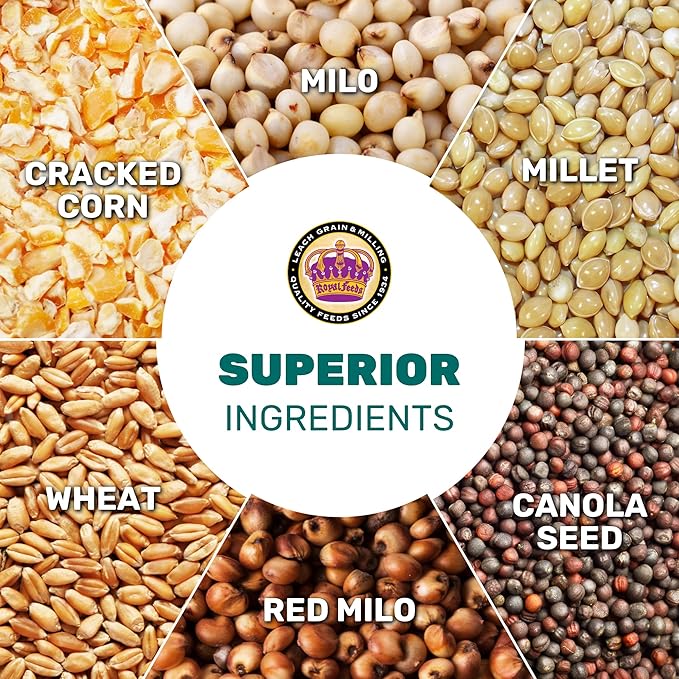 Wild Bird Seed 5 Lbs, Premium Mixed Wild Birdseeds, Nut Free Mix Feed, Nutrient-Rich Birdseeds, Supports Daily Energy Growth & Healthy Balanced Diet, Bird Seed for Outside Feeders