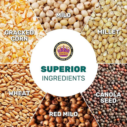 Wild Bird Seed 5 Lbs, Premium Mixed Wild Birdseeds, Nut Free Mix Feed, Nutrient-Rich Birdseeds, Supports Daily Energy Growth & Healthy Balanced Diet, Bird Seed for Outside Feeders