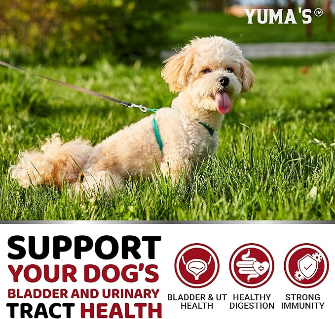 Dog UTI Treatment - 170 Treats - Cranberry Supplement for Dogs - Bladder Control - Urinary Tract Infection Treatment - UTI Medicine Multivitamin - Vitamins and Supplements - Made in USA