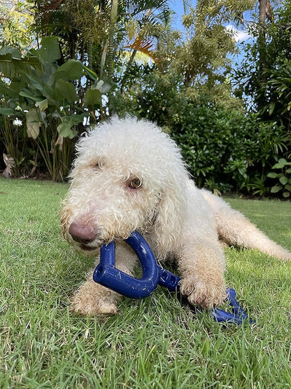 SuperChewy Tough Tug Pull Toy | Lifetime Replacement | Strong Natural Rubber | Interactive Tug-of-War Toy for Dogs | Ultra Durable Chew Toys for Aggressive Chewers | for Medium & Large Breeds