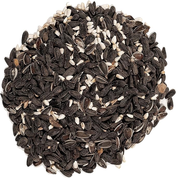 Wagner's 62032 Cardinal Blend Wild Bird Food, 6-Pound Bag, 2-Pack