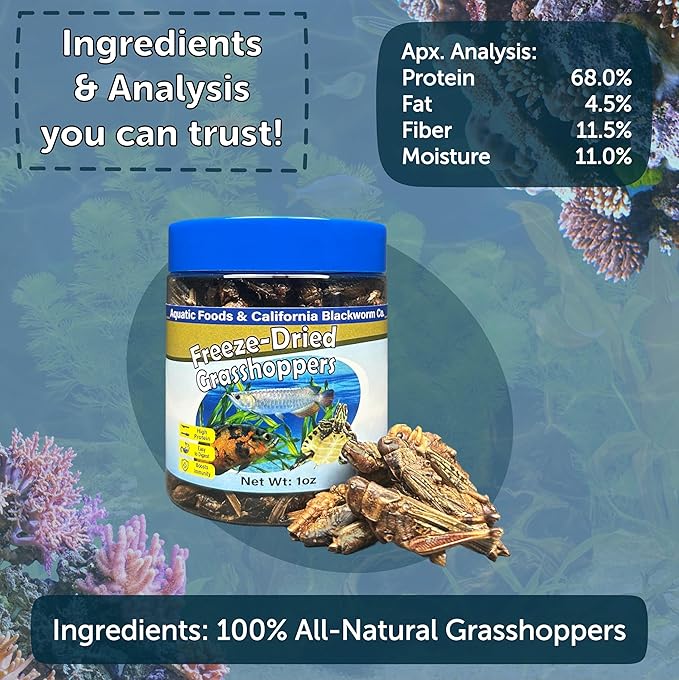Aquatic Foods Inc. Grasshoppers, Freeze Dried Grasshoppers for Large Tropical Fish, Monster Fish, Reptiles, Turtles, Tortoises, Frogs, Hamsters, Birds, Rodents 1.0oz Canister