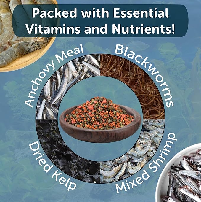 Aquatic Foods Inc. 12-Type Floating & Sinking California Blackworm & Coloring Pellets of 1mm, 2mm, 3mm Size for All Tropical Fish, Koi and Pond Fish, 4-Type Wafer Mix Included...1-lb 4oz Canister